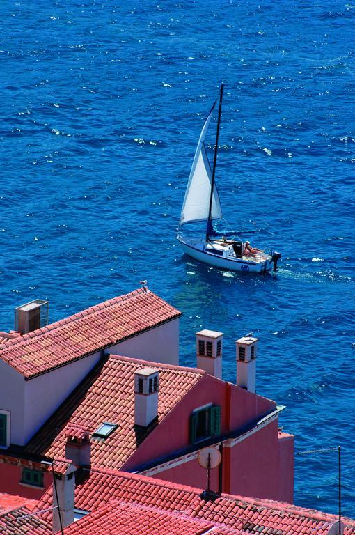 Apartments Alice Rovinj Buitenkant foto